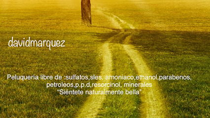 Foto Peluquería David Márquez