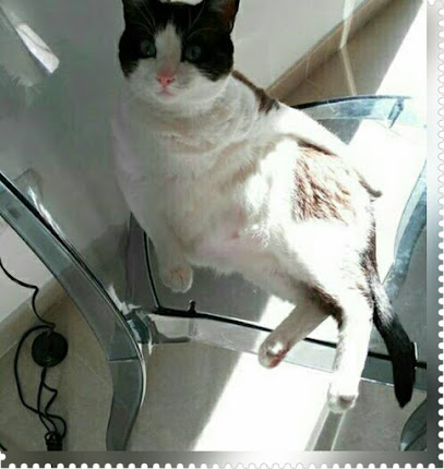 Foto Glamour Peluqueros