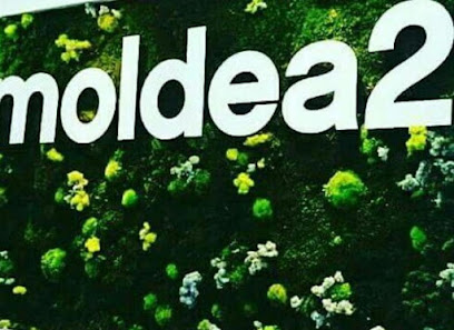 Foto Moldea2