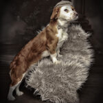Dudog Estilista Canino - Peluquería en Castelldefels AF1QipNfFT4y6_Tcbyek33NqEFzdxZfs1bdb8jGV8gvg=w408-h525-k-no