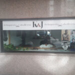 K&J peluqueria de caballeros - Peluquería en Palencia AF1QipNp-ZgMYMEXv5nKY0cgKEltdjKbNAm7gHDinWwj=w408-h306-k-no