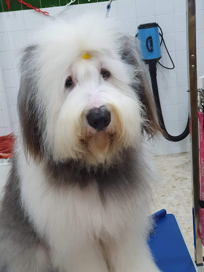 Foto Peluqueria canina MANUELA