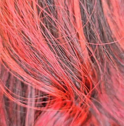Foto Moreno Peluqueros-Estetica
