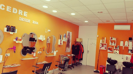Foto Peluquería Y Estética Cedre