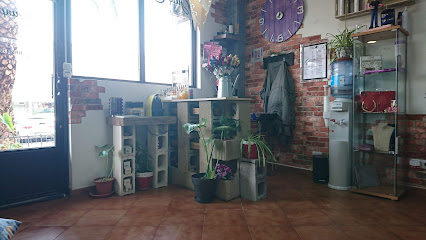 Peluqueria Guap@s - Peluquería en Parla AF1QipPlkB0Z06LoA34jtDSN3JLpeE0NgRYGz4Fhd_7J=w426-h240-k-no