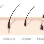 ¿Cómo saber si mi pelo está en fase anágena? Como saber si mi pelo está en fase anagena